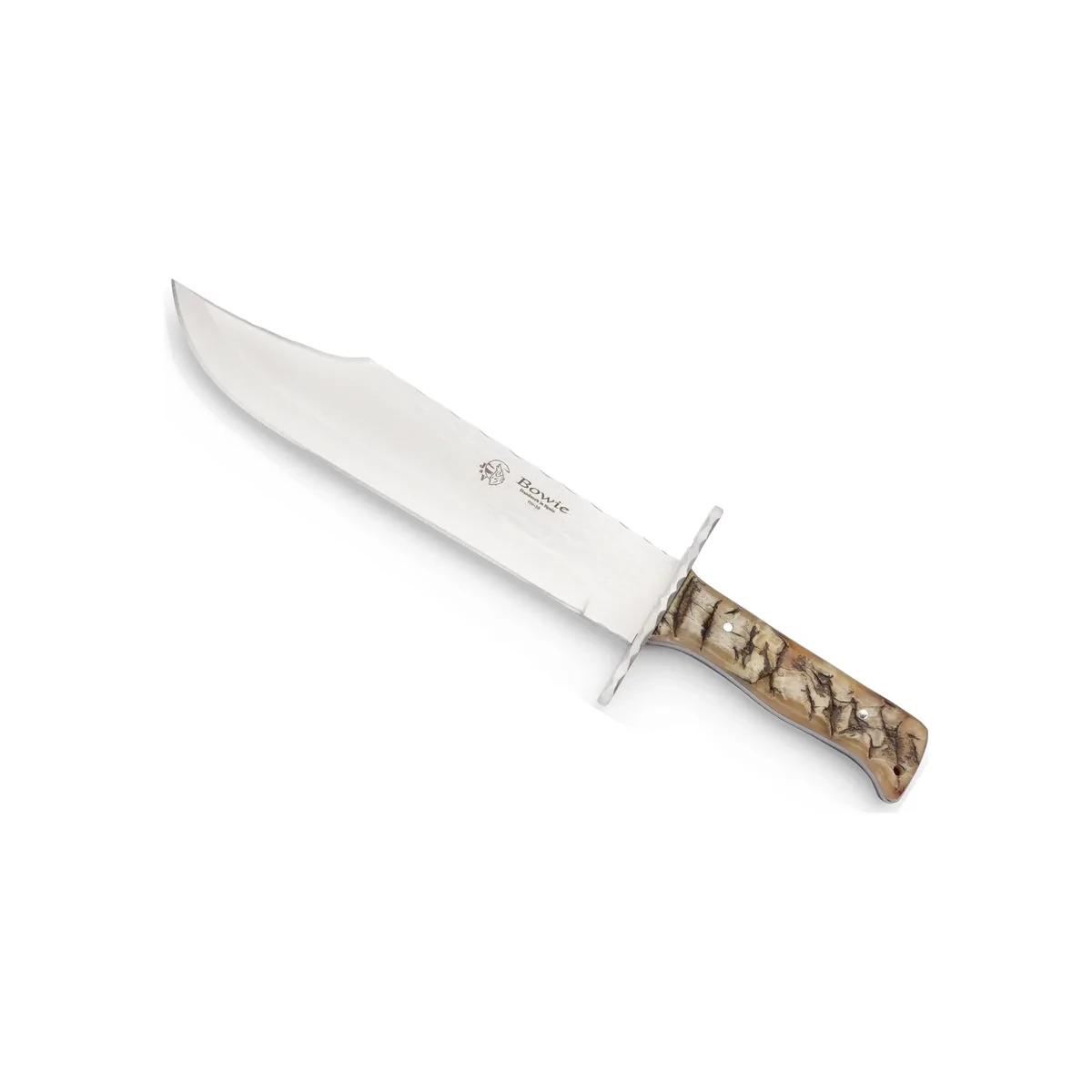 Bowie Carnero